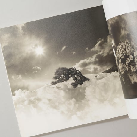 [サイン入/Signed] 手中一滴 Bonsai Microcosmos Macrocosmos / 山本昌男(Masao Yamamoto)