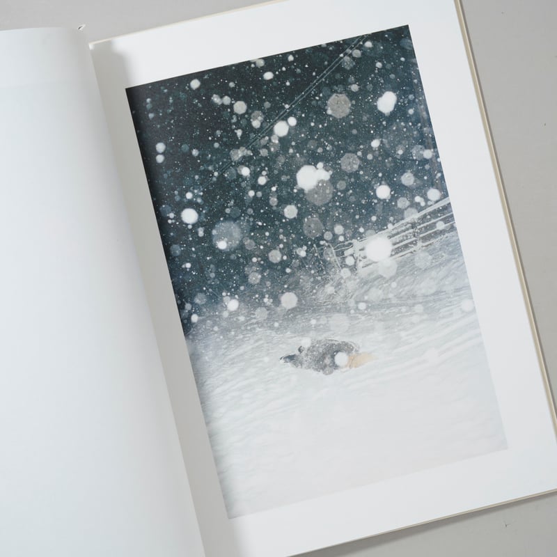 Thujord / Ola Rindal(オラ・リンダル) | bookobscura｜写真集