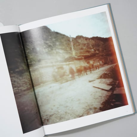 [サイン入/Signed] The Light / Mustang  光の王国 / 山西もも(Momo Yamanishi)