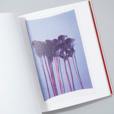 [新刊/New] Swaying Flowers / Ayaka Endo(遠藤文香)