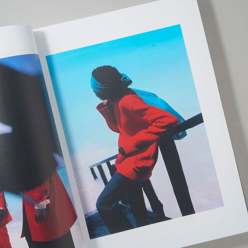 PHOSPHOR / Viviane Sassen(ヴィヴィアン・サッセン) | bookob