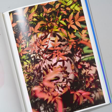 ROXANE Ⅱ / Viviane Sassen(ヴィヴィアン・サッセン)