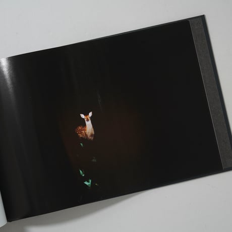 kuragari / 田附勝(Masaru Tatsuki)