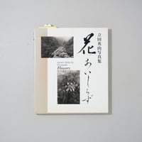 花あいしらず / 立田英山(Eizan Tatsuta)