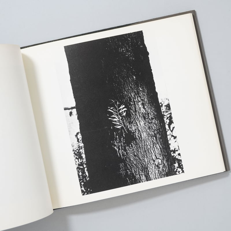 【ブラーマンの光】鈴木清写真集　1976年初版　サイン入り ブラーマンの光】鈴木清写真集 1976年初版 サイン入り - メルカリ