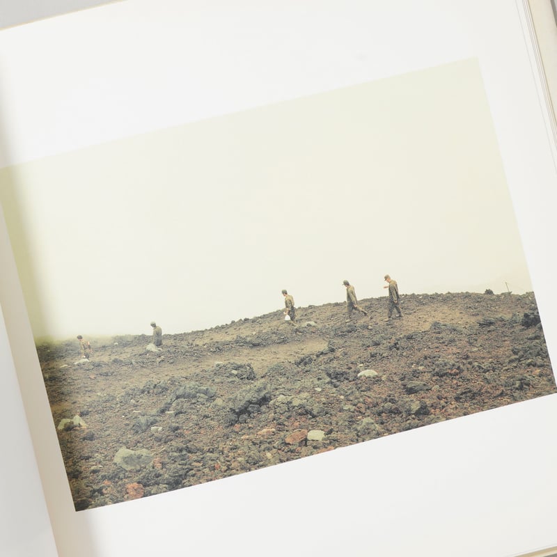 鳥を見る / 野口里佳(Rika Noguchi) | bookobscura｜写真集専門書店