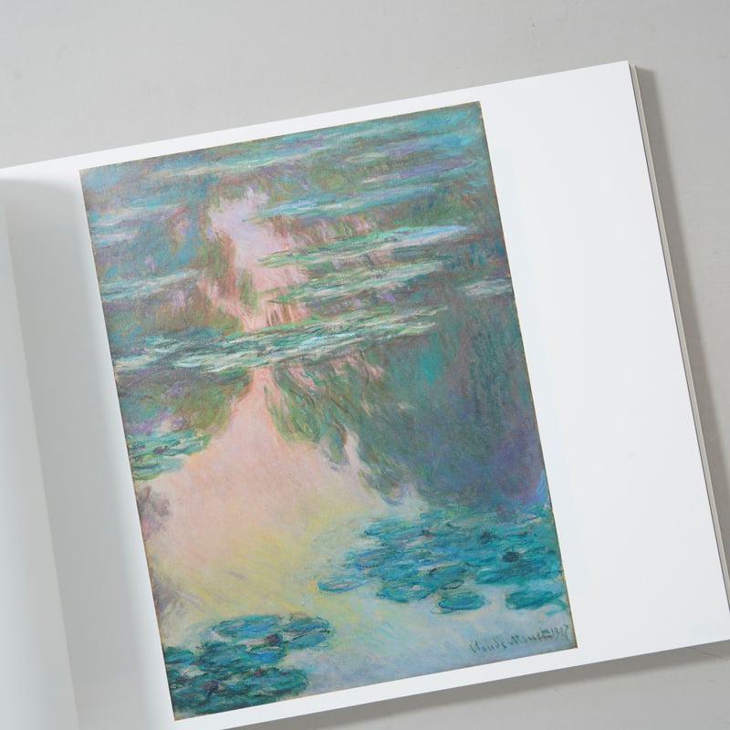 写真と絵画−セザンヌより 柴田敏雄と鈴木理策 / 柴田敏雄(Toshio