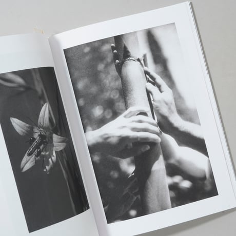 [新刊/New] LOCAL ECOLOGY. MOULIN DES RIBES / Jochen Lempert (ヨヘン・レンペルト)