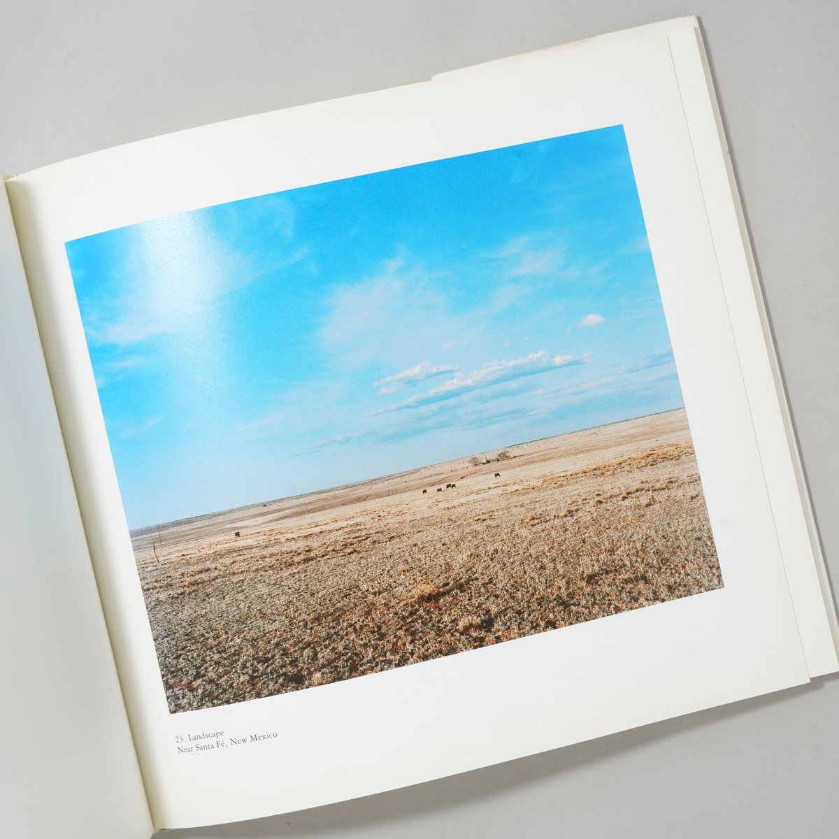 Wim Wenders: Written in the West / Wim Wenders(