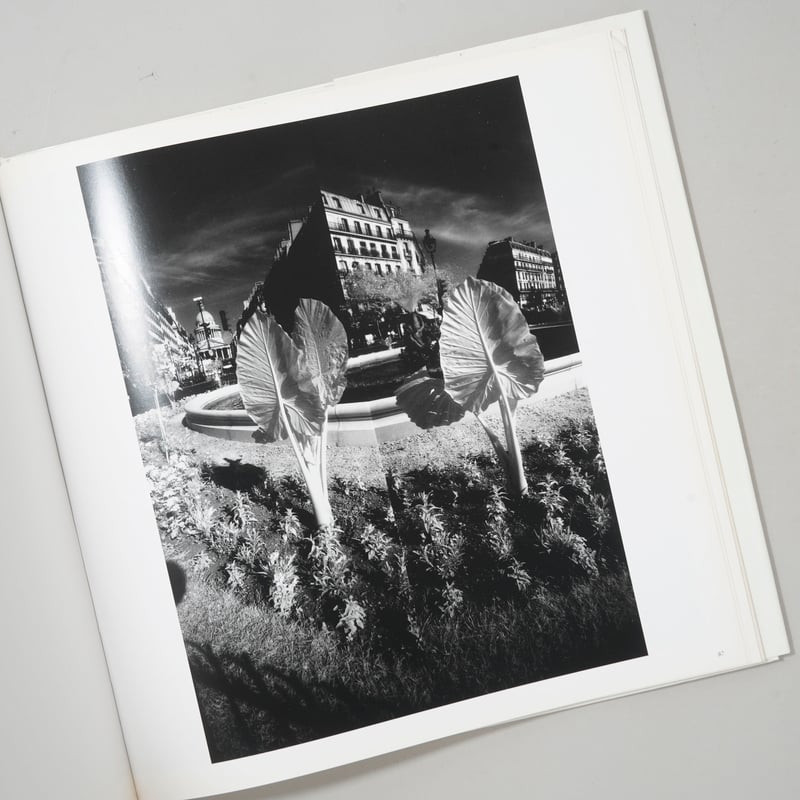 CATEGORY ー 2000s | bookobscura｜写真集専門書店｜写真家による写真