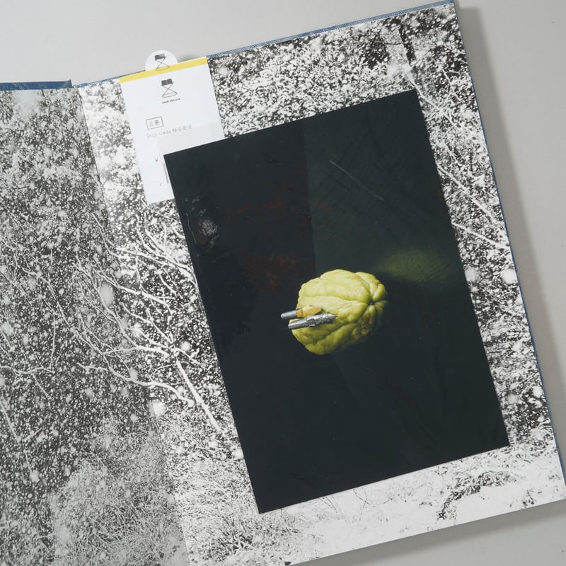 Shoji Ueda / 植田正治(Shoji Ueda) | bookobscura｜写真集