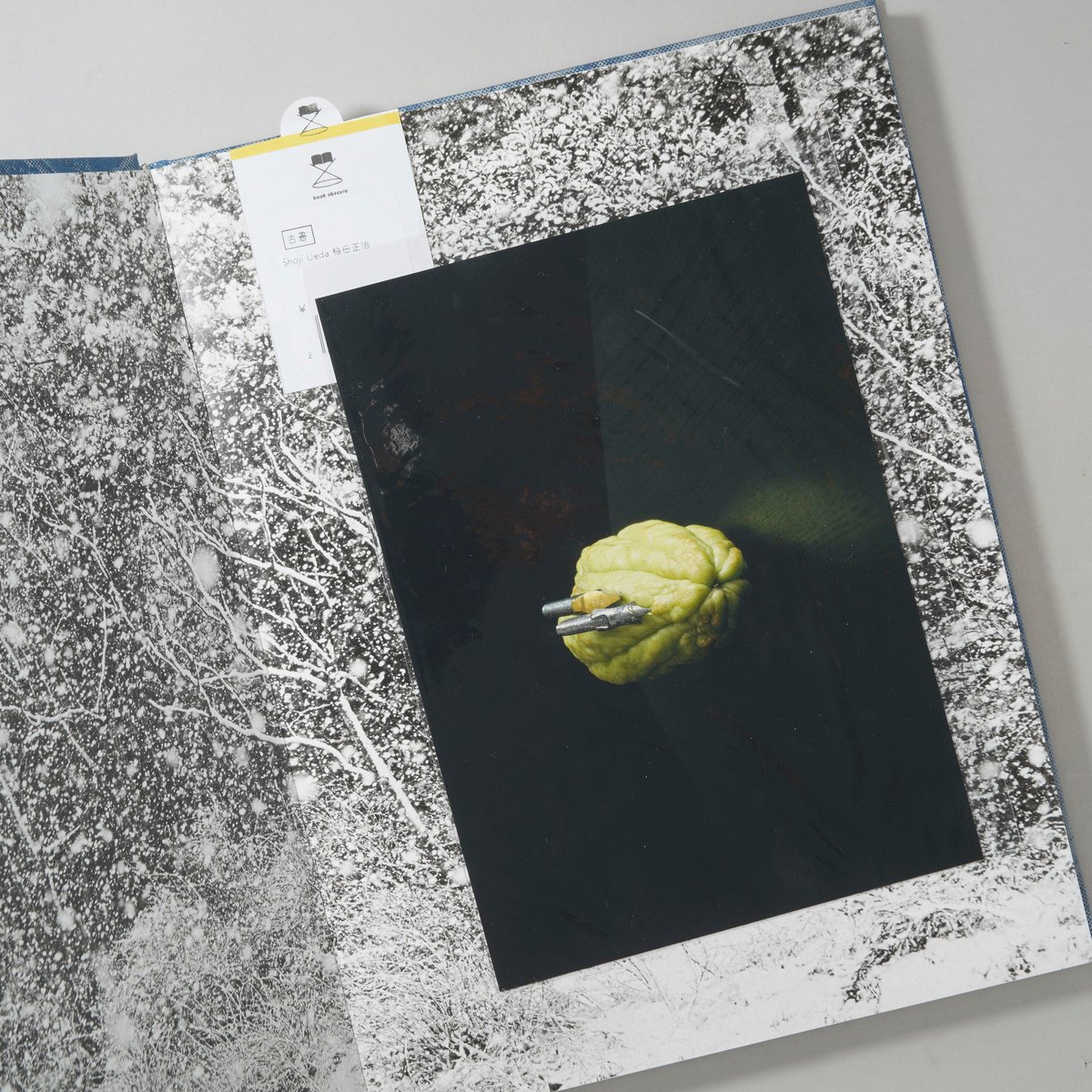 Shoji Ueda / 植田正治(Shoji Ueda) | bookobscura｜写真集
