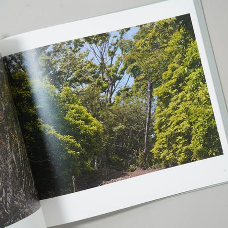 Heliotropic Landscape / 寺崎珠真(Tamami Terasaki)