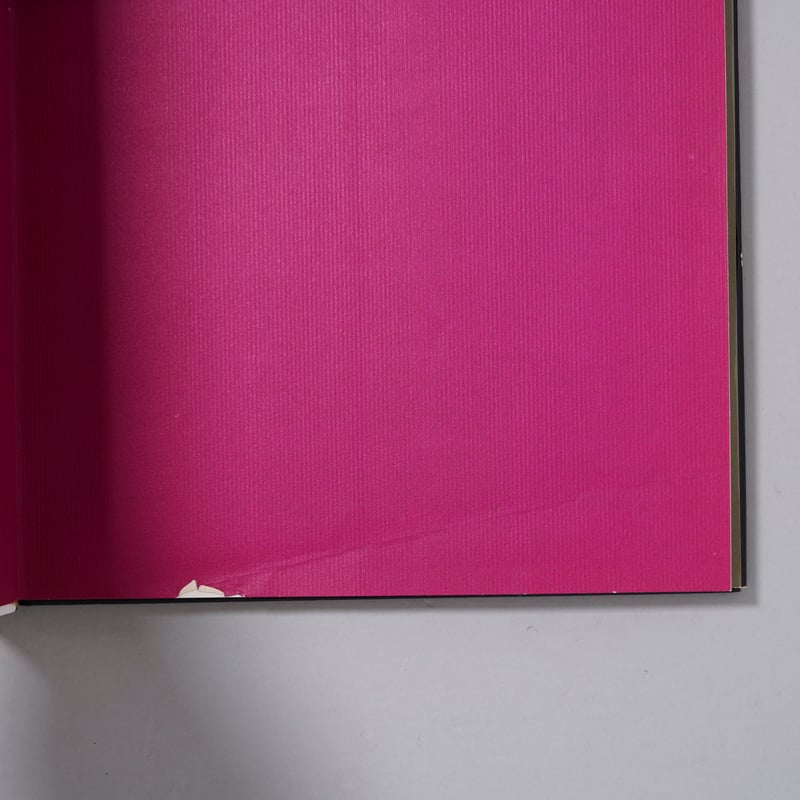 Mirror of Venus / Wingate Paine(ウィンゲート・ペイン) | b