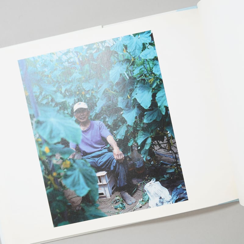 島へ / 上田義彦(Yoshihiko Ueda) | bookobscura｜写真集専門書店