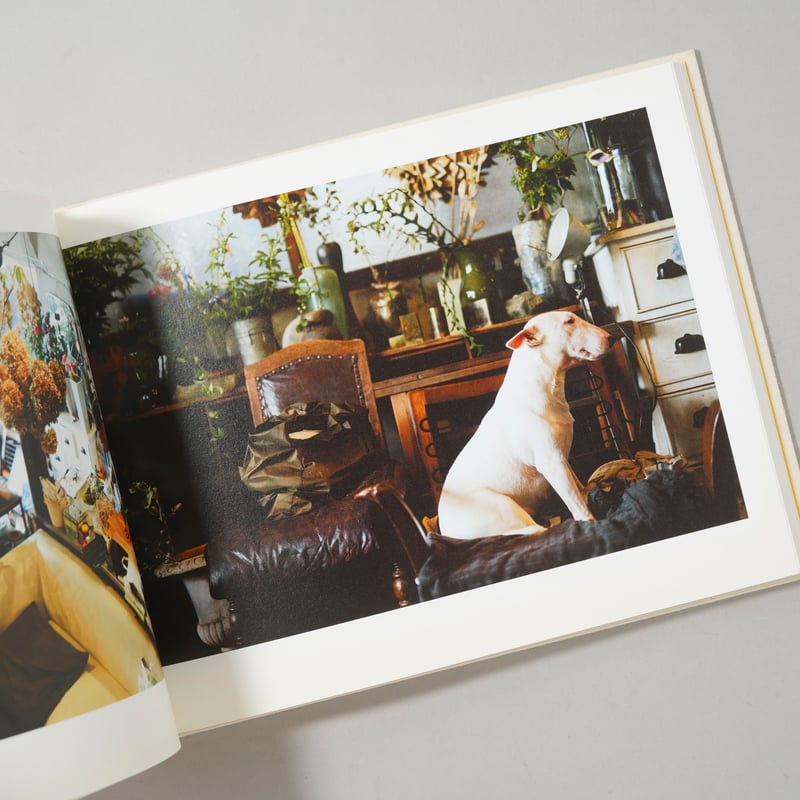 濱田英明　ONE DAY: LIFE WITH A DOG ONE DAY LIFE WITH A DOG / 濱田英明(Hideaki Hamada)