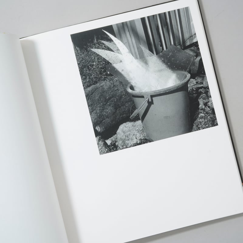 CATEGORY ーused | bookobscura｜写真集専門書店｜写真家による写真集の