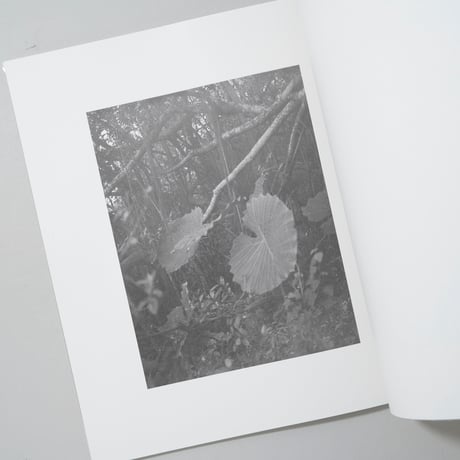 富澤大輔 | STORES