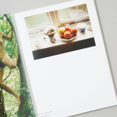 BURG(Wofgang Tillmans BOX) / Wolfgang Tillmans(ヴォルフガング・ティルマンス)