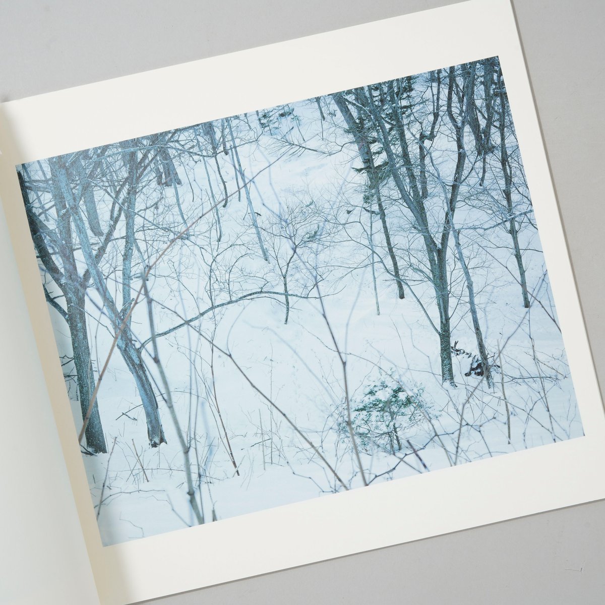 Trails / ホンマタカシ(Takashi Homma) | bookobscura｜写真