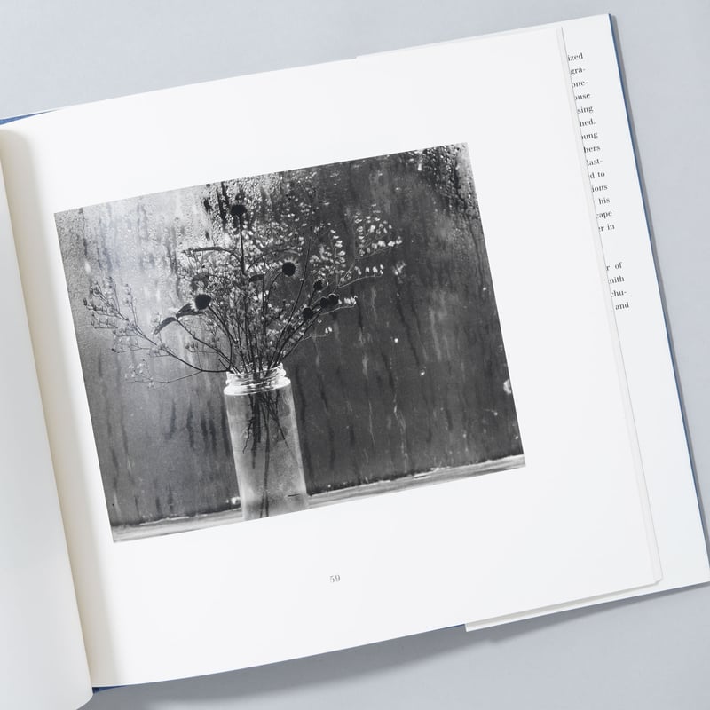 NEW ENGLAND DAYS / Paul Caponigro(ポール・カポニグロ) |