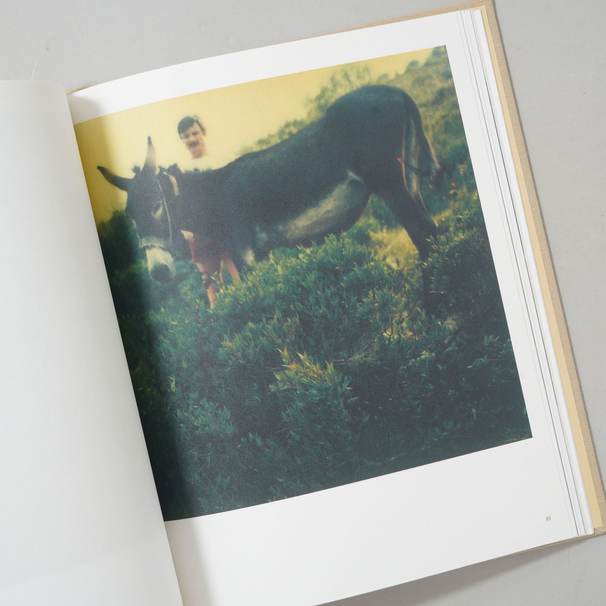 Bright, bright day / Andrey Tarkovsky(アンドレイ・タルコ