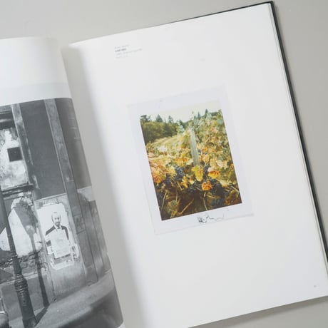 From Polaroid to Impossible : Masterpieces of Instant Photography - The WestLicht Collection