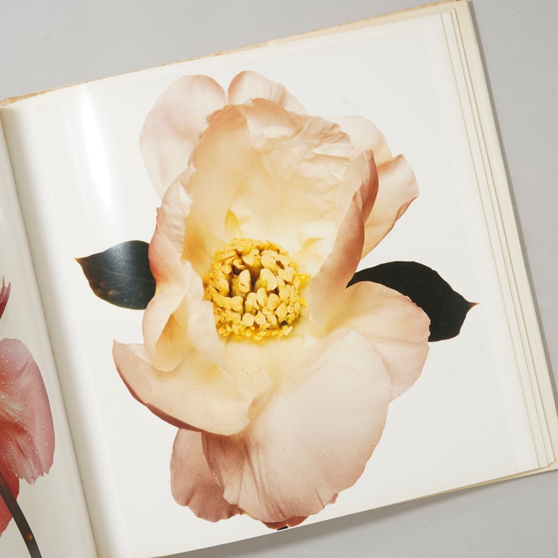 FLOWERS / Irving Penn (アーヴィング・ペン) | bookobscura