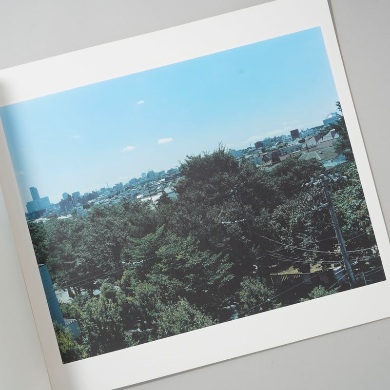 写真の休毛　佐内正史　サイン入り 写真の体毛 / 佐内正史 Masafumi Sanai（サイン入 Signed） - books