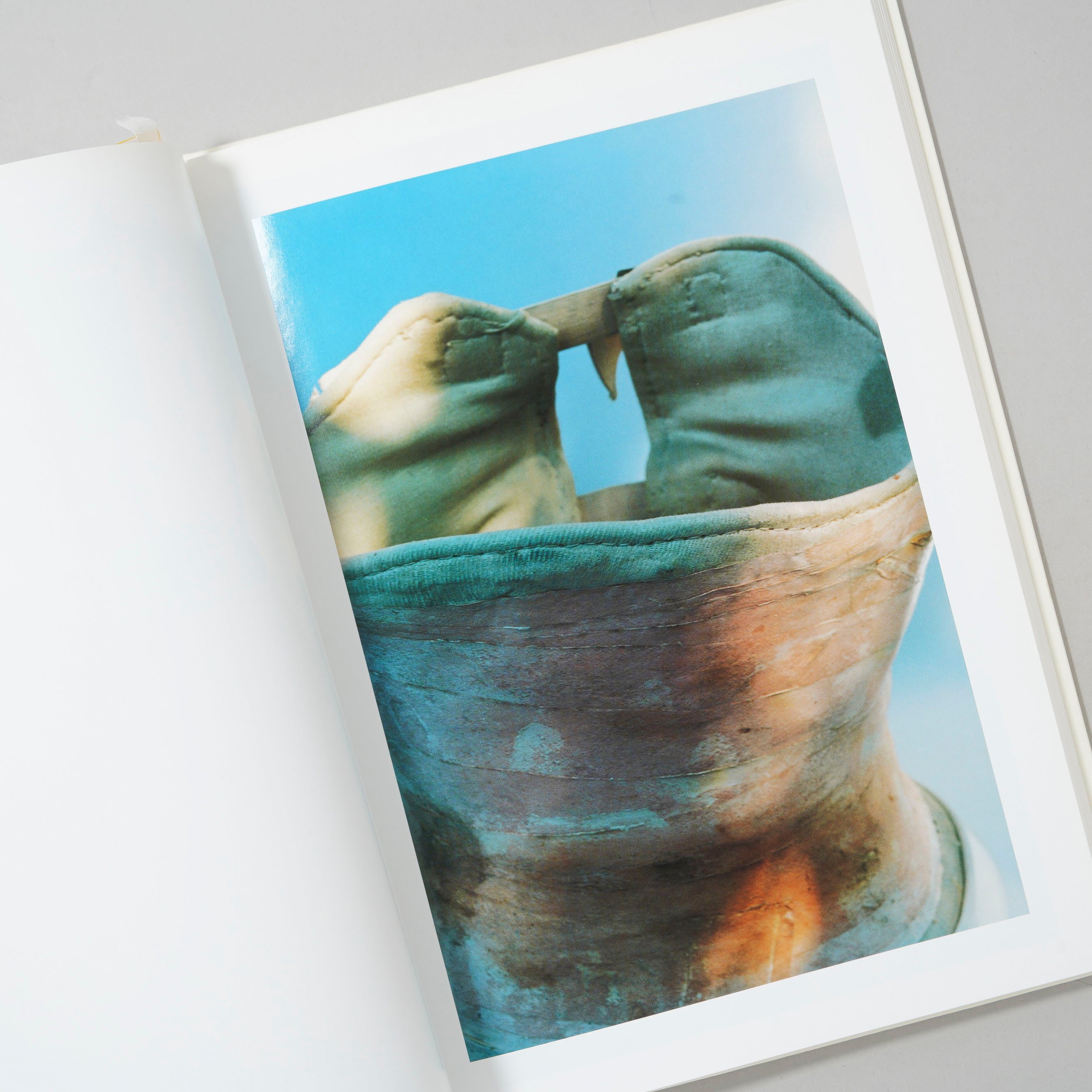 Frida by Ishiuchi / 石内都(Miyako Ishiuchi) | book