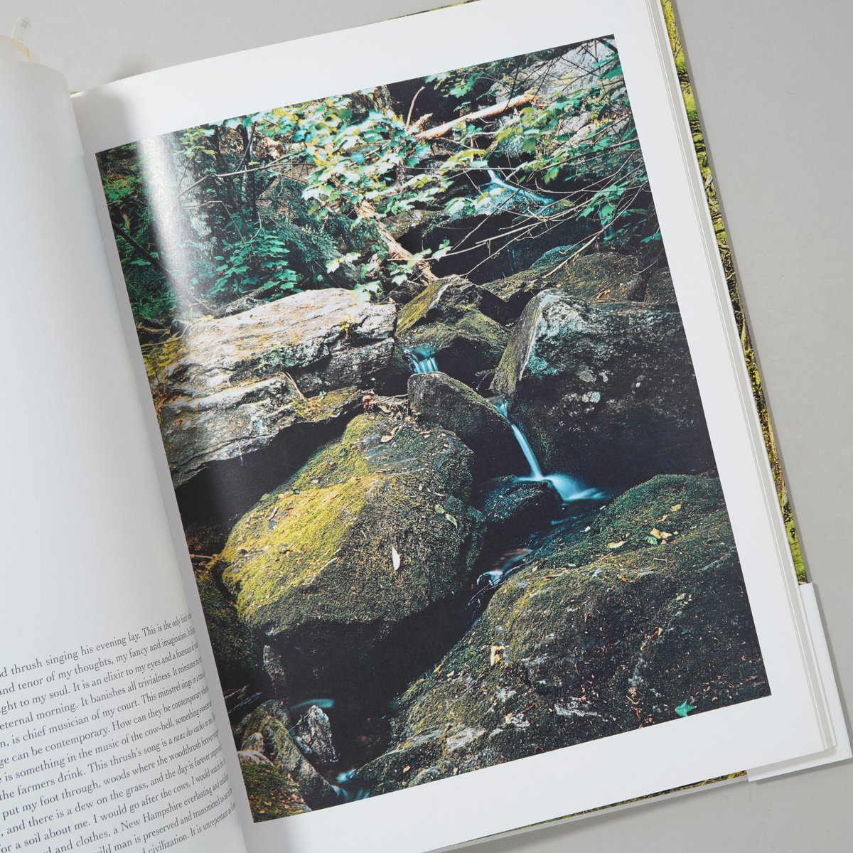 In Wildness Is the Preservation / Eliot Porter(