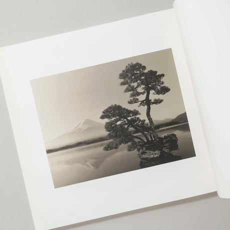 [サイン入/Signed] 手中一滴 Bonsai Microcosmos Macrocosmos / 山本昌男(Masao Yamamoto)