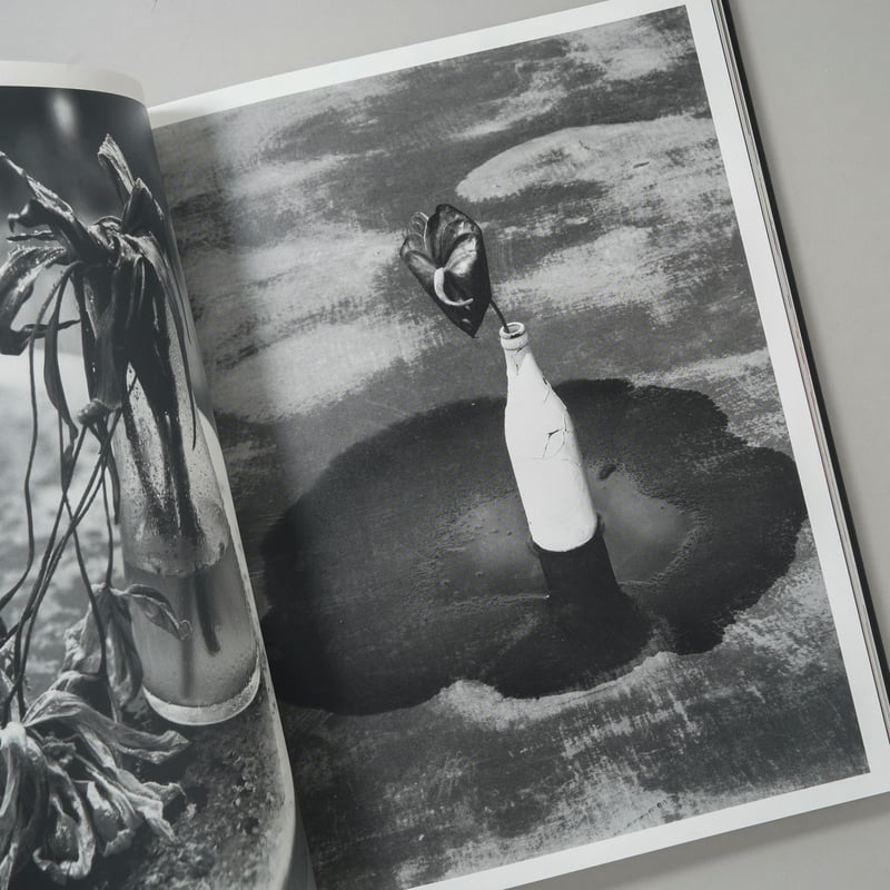 花人生 特別装丁版 / 荒木経惟(Nobuyoshi Araki) | bookobscura