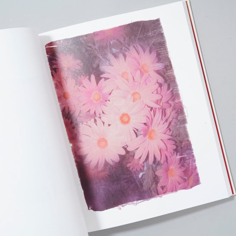 新刊/New] Swaying Flowers / Ayaka Endo(遠藤文香) | b