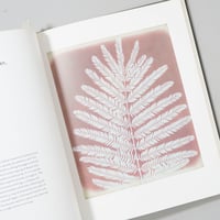 イメージ人類学 ハンス・ベルティンク イメージ人類学 / ハンス・ベルティンク、訳・仲間裕子