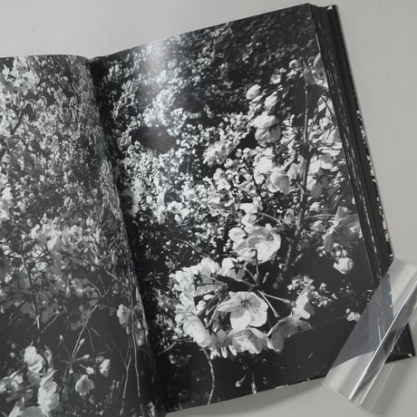 [サイン入/Signed] Ango(日本語版) / 森山大道(Daido Moriyama)