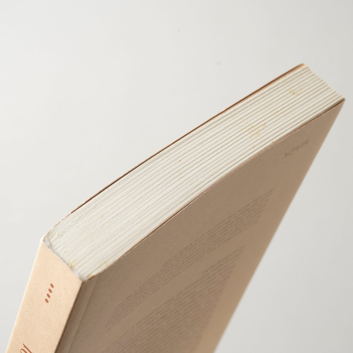 THE COMPLETE ESSAYS 1973-1991 / Luigi Ghirri(ルイ
