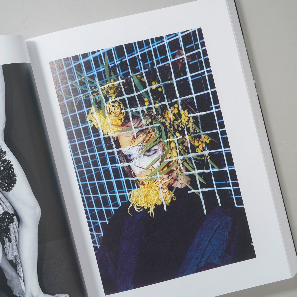 PHOSPHOR / Viviane Sassen(ヴィヴィアン・サッセン) | bookob