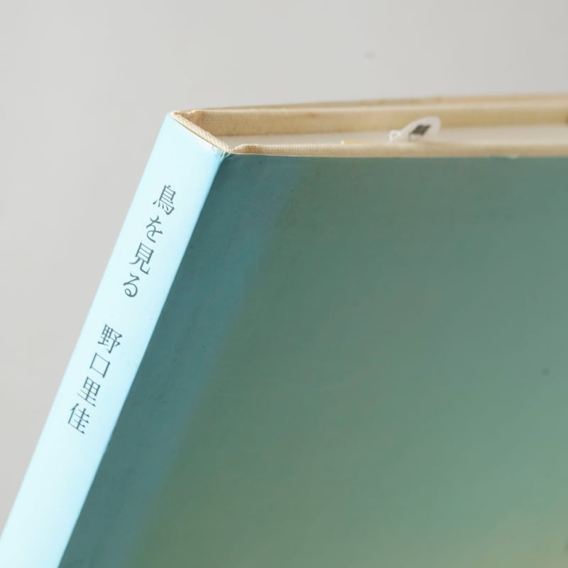 鳥を見る : 野口里佳　写真集 Seeing Birds by RIKA NOGUCHI鳥を見る 野口里佳 写真集 - 古本買取 2