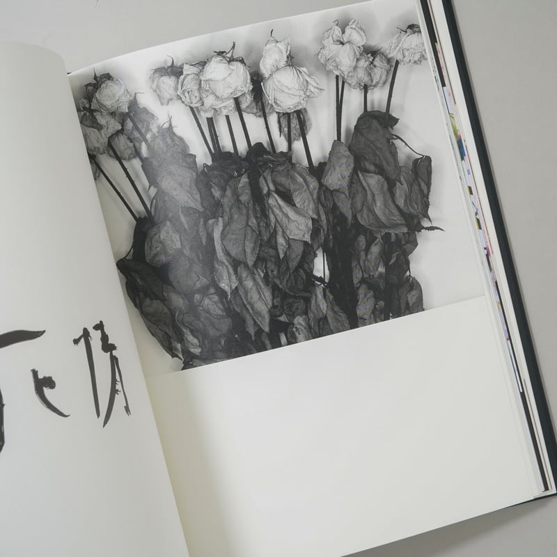 花人生 特別装丁版 / 荒木経惟(Nobuyoshi Araki) | bookobscura
