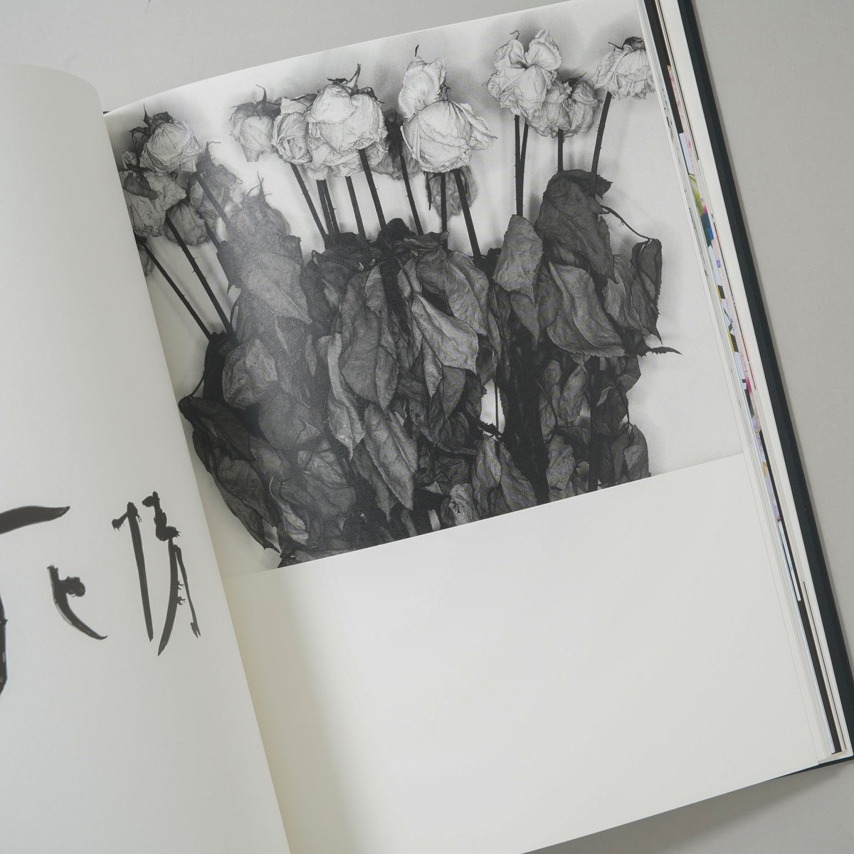 花人生 特別装丁版 / 荒木経惟(Nobuyoshi Araki) | bookobscura