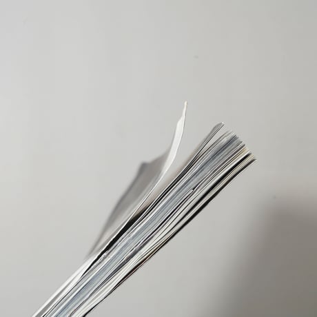 A Magazine ＃7 Curated by Kris Van Assche