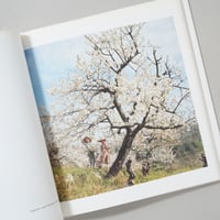 中国語版] dazai 太宰 / 森山大道(Daido Moriyama) | bookob