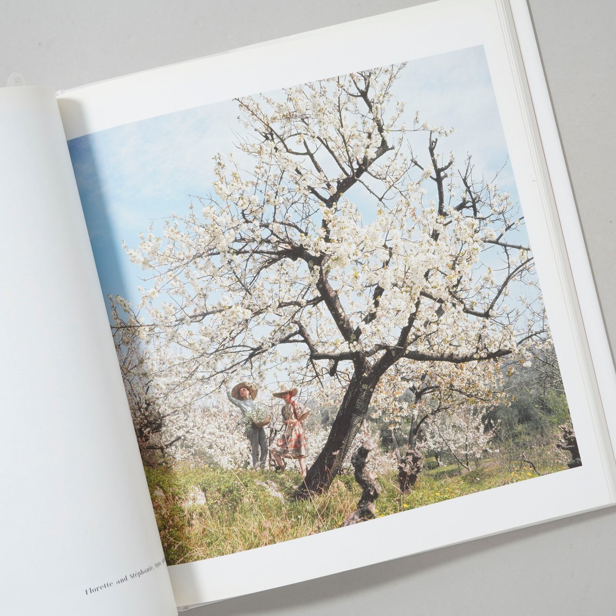 LARTIGUE LIFE IN COLOR / Jacques Henri LARTIGUE