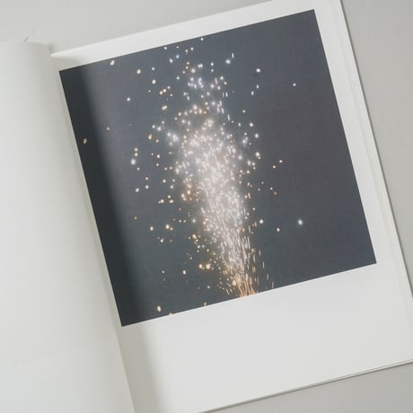 [サイン入/Signed] VULKAN ODER STEIN / Anne Schwalbe(アンネ・シュヴァルべ)
