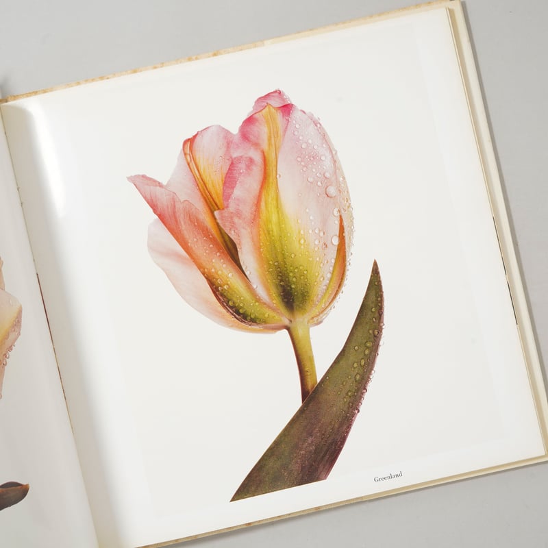 FLOWERS / Irving Penn (アーヴィング・ペン) | bookobscura