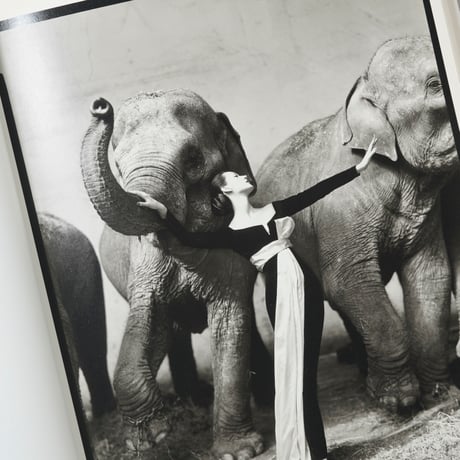 Woman in the Mirror / Richard Avedon （リチャード・アヴェドン）