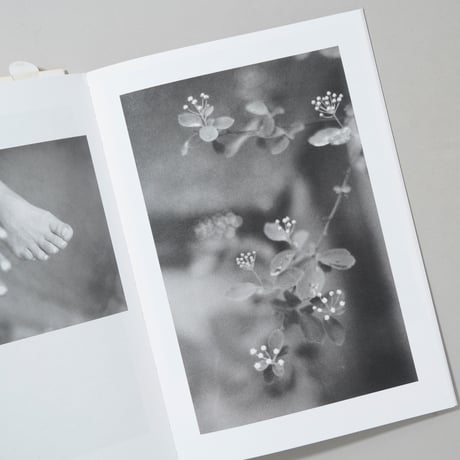 [新刊/New] LOCAL ECOLOGY. MOULIN DES RIBES / Jochen Lempert (ヨヘン・レンペルト)
