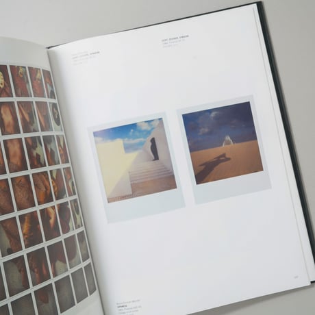 From Polaroid to Impossible : Masterpieces of Instant Photography - The WestLicht Collection