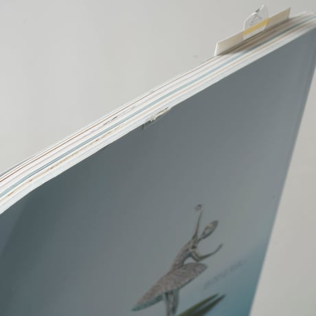 IMA 2019 Winter Vol.30 アレック・ソスの終わりなき旅 / Alec Soth(アレック・ソス)